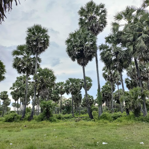 Top 20 mẫu cửa hàng đẹp Huyện Tịnh Biên An Giang 2022