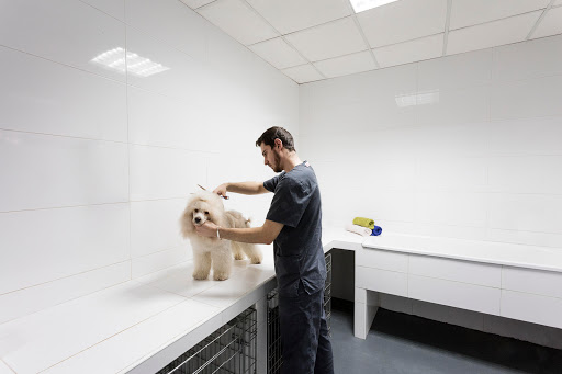 Clínica Sant Antoni en Puçol