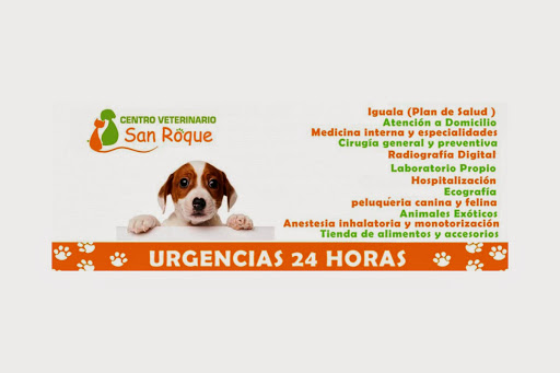 Clínica Veterinaria Badajoz San Roque en Badajoz