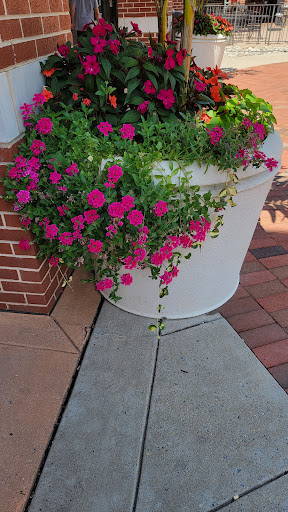 Pet Supply Store «Petco Animal Supplies», reviews and photos, 12960 Middlebrook Road #520a, Germantown, MD 20874, USA