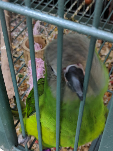 Pet Supply Store «Pet Valu», reviews and photos, 541 S Breiel Blvd, Middletown, OH 45044, USA