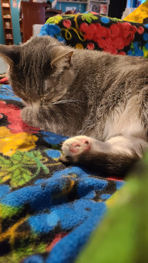 Nature Preserve «Shoe Factory Road Prairie Nature Preserve», reviews and photos, Shoe Factory Rd, Hoffman Estates, IL 60192, USA