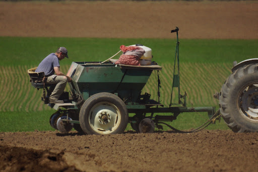 Produce Market «B&P Hitz Fruit Farm (Apples N Produce)», reviews and photos, 14070 Wilco Hwy NE, Woodburn, OR 97071, USA