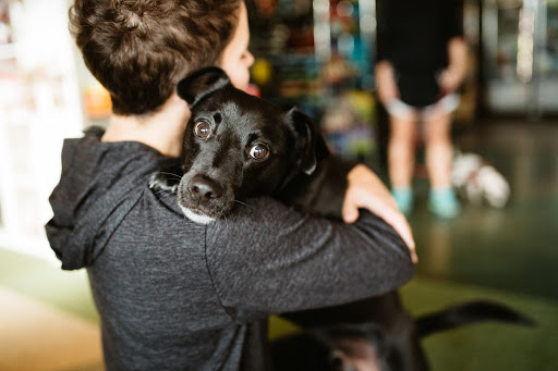 Pet Supply Store «Sellwood Pet Supply», reviews and photos, 8334 SE 17th Ave, Portland, OR 97202, USA