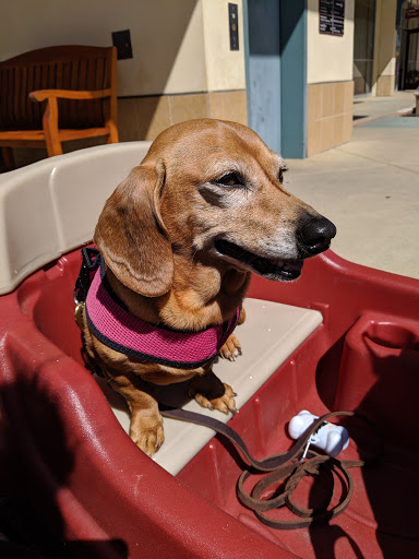 Shopping Mall «Crystal Springs Shopping Village», reviews and photos, 100 De Anza Blvd, San Mateo, CA 94402, USA