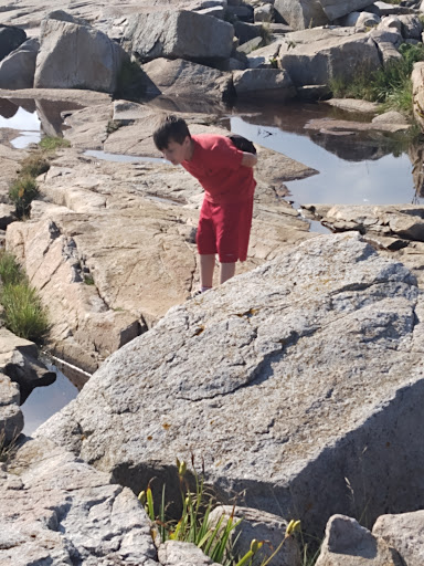 Vista Point «Schoodic Point», reviews and photos, Arey Cove Rd, Winter Harbor, ME 04693, USA