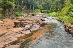 Meenara Thodu Waterfalls image