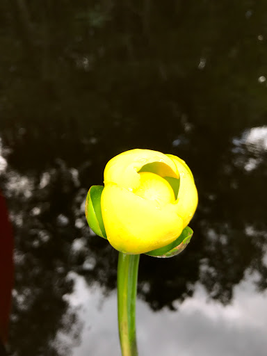 Park «Alafia River State Park», reviews and photos, 14326 S County Rd 39, Lithia, FL 33547, USA