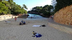 Cala Egos'in fotoğrafı kısmen otel alanı