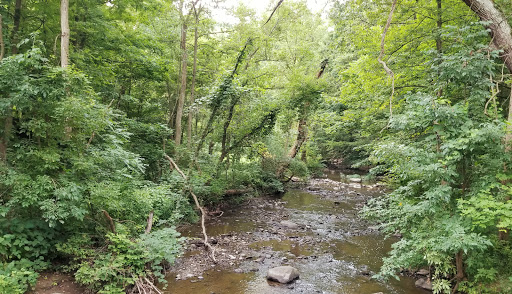 Nature Preserve «Swallow Cliff Woods South», reviews and photos, Illinois Rt 83 & US Rt 45, Palos Park, IL 60464, USA