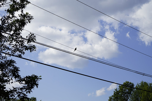 Community Center «Kaplen JCC on the Palisades», reviews and photos, 411 E Clinton Ave, Tenafly, NJ 07670, USA