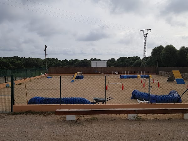 RESIDENCIA CANINA Y FELINA ALAIOR. BOARDING KENNELS  CATTERY ALAIOR. ESCUELA DE ADIESTRAMIENTO CANIN