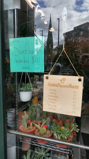Florist «Central Square Florist», reviews and photos, 653 Massachusetts Ave, Cambridge, MA 02139, USA
