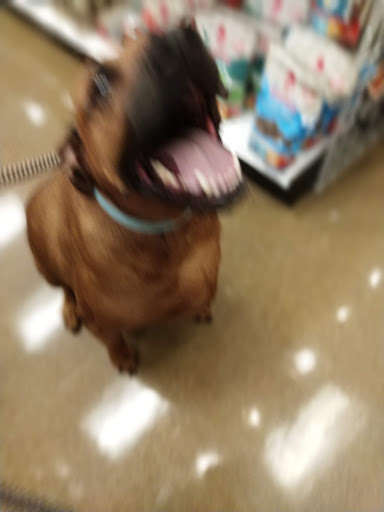 Pet Supply Store «Perk Valley Pet Eatery», reviews and photos, 130 W Main St #102-104, Trappe, PA 19426, USA