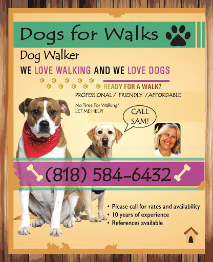 Dogs For Walks