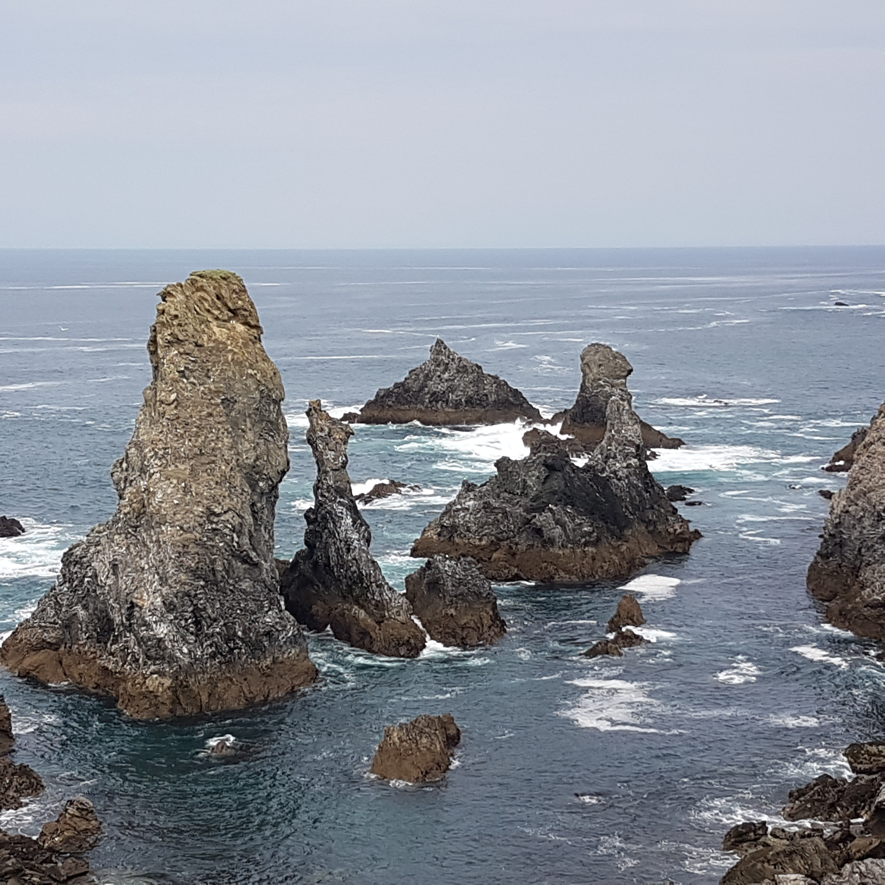 Photo n° 1 de l'avis de DuraCed. fait le 13/05/2019 à 21:58