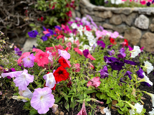 General Store «Carmel Highlands General Store», reviews and photos, 70 CA-1, Carmel-By-The-Sea, CA 93923, USA