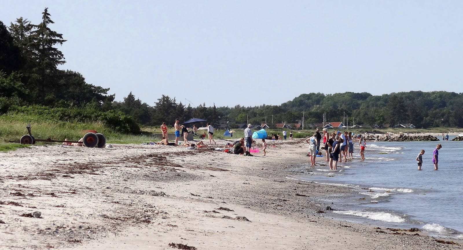 Dyngby Beach photo #8