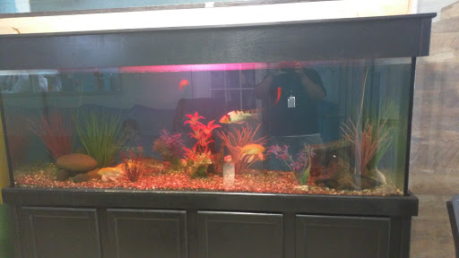 Laundry «24 Hour Laundry», reviews and photos, 7133 Chimney Rock Rd, Houston, TX 77081, USA