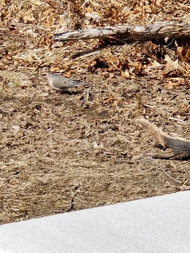 State Park «Abigail Adams State Park», reviews and photos, 770 Bridge St, Weymouth, MA 02188, USA