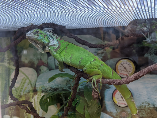 Pet Supply Store «Petco Animal Supplies», reviews and photos, 225 Maple Ave E, Vienna, VA 22180, USA