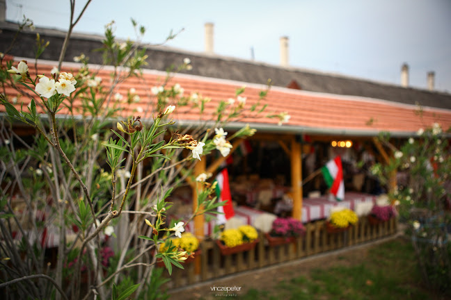 8311 Nemesvita, Törekpuszta 84, 8311