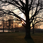 Photo n°1 de l'avis de Ta.a fait le 01/06/2020 à 18:04 sur le  Blockhaus am Wolzensee à Rathenow