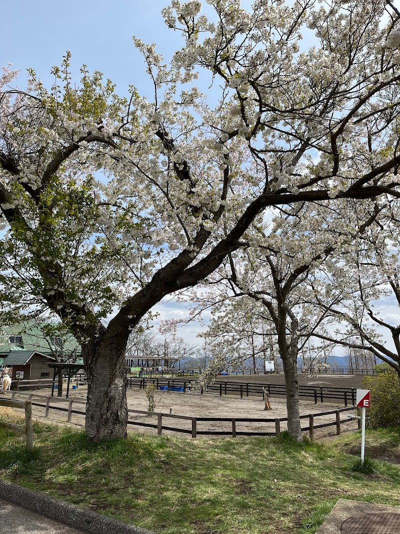 うまの牧場