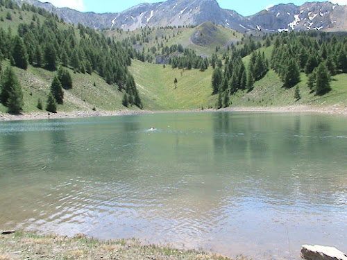 Bois Du Boscodon SARL à Crots