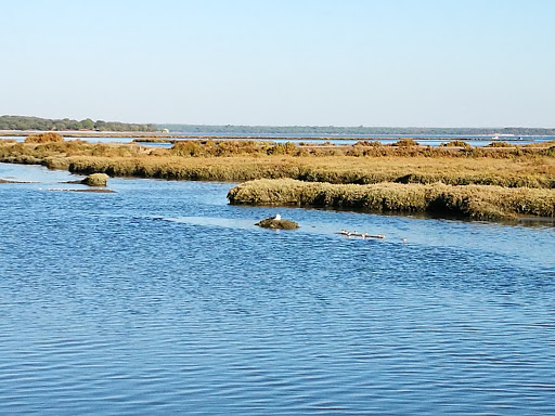 Sado Estuary Natural Reserve