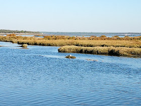 Reserva Natural do Estuário do Sado
