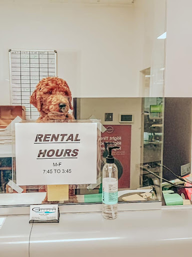 Nissan Dealer «Pat Peck Nissan - Gulfport», reviews and photos, 9480 US 49, Gulfport, MS 39503, USA