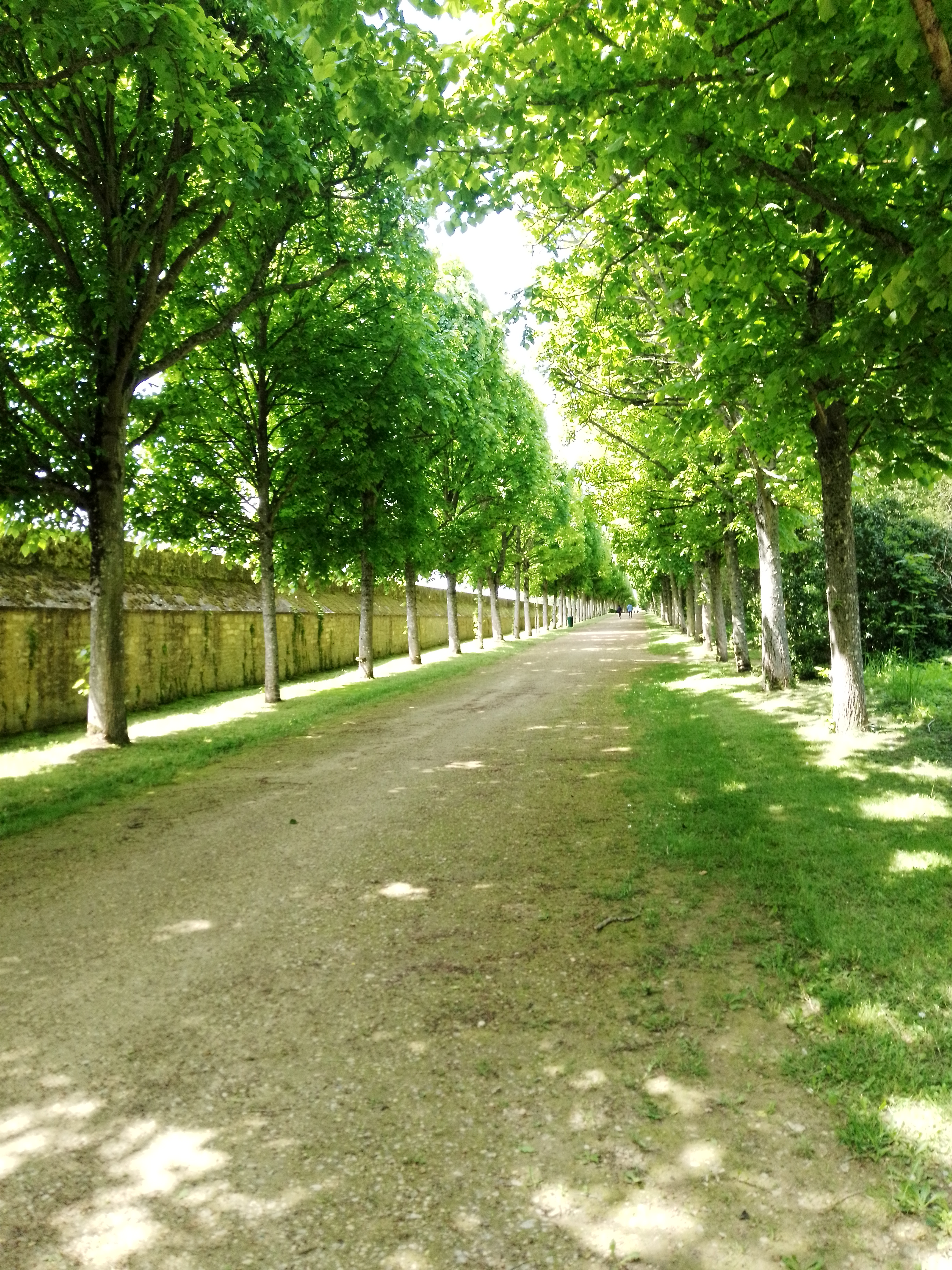 Photo n° 10 de l'avis de Célinette. fait le 18/05/2023 à 14:53
