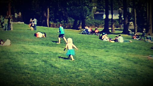 Park «Angle Lake Park», reviews and photos, 19408 International Blvd, SeaTac, WA 98188, USA