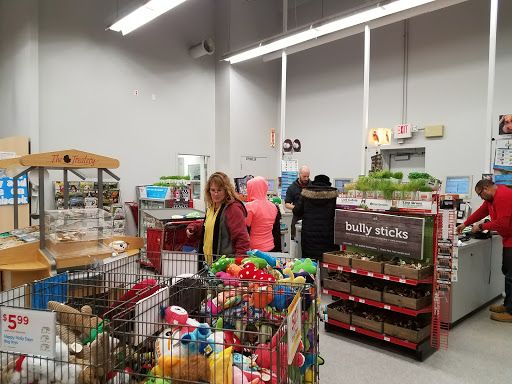 Pet Supply Store «Petco Animal Supplies», reviews and photos, 125 Lincoln Hwy, Exton, PA 19341, USA