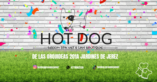 hot dog groom spa vet & can boutique