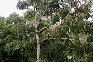 Tooro Botanical Gardens image