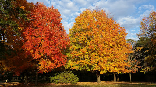 State Park «Monmouth Battlefield State Park», reviews and photos, 16 Business Route 33, Manalapan Township, NJ 07726, USA