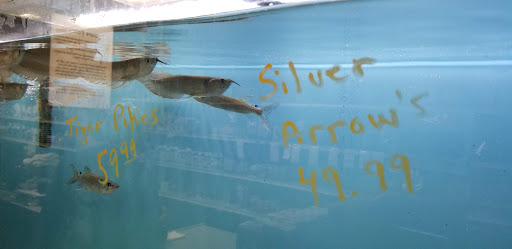 Aquarium «Beltway Aquarium», reviews and photos, 3306 Crain Hwy, Waldorf, MD 20603, USA