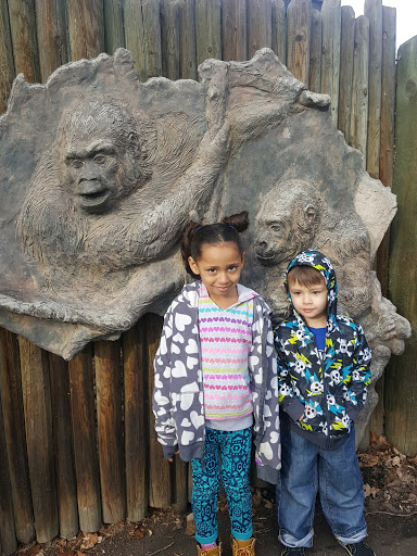 Zoo «Monkey Island», reviews and photos, 8 E 23rd Ave, Denver, CO 80205, USA