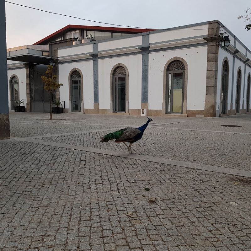 3 image