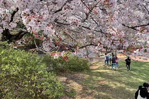 Senzufureai Park image