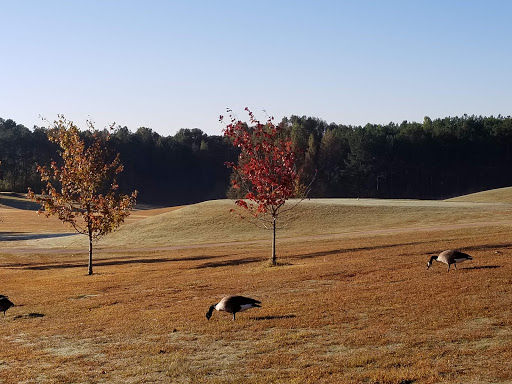 Country Club «St Andrews Golf & Country Club», reviews and photos, 8799 Edinburg Dr, Winston, GA 30187, USA