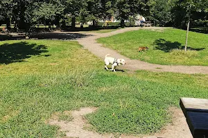 Fælledparkens store hundegård image