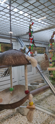 Pet Supply Store «PetSmart», reviews and photos, 11400 Financial Centre Pkwy, Little Rock, AR 72211, USA