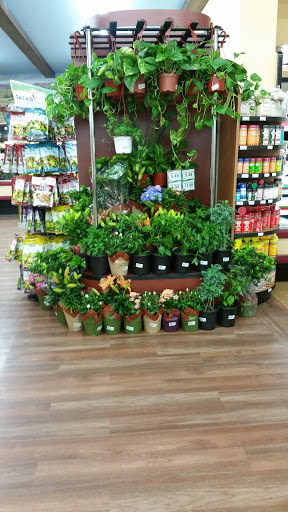 Supermarket «Cardenas Market», reviews and photos, 1645 W Holt Ave, Pomona, CA 91768, USA