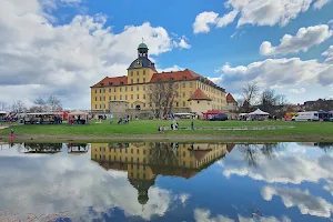 Schloss Moritzburg image