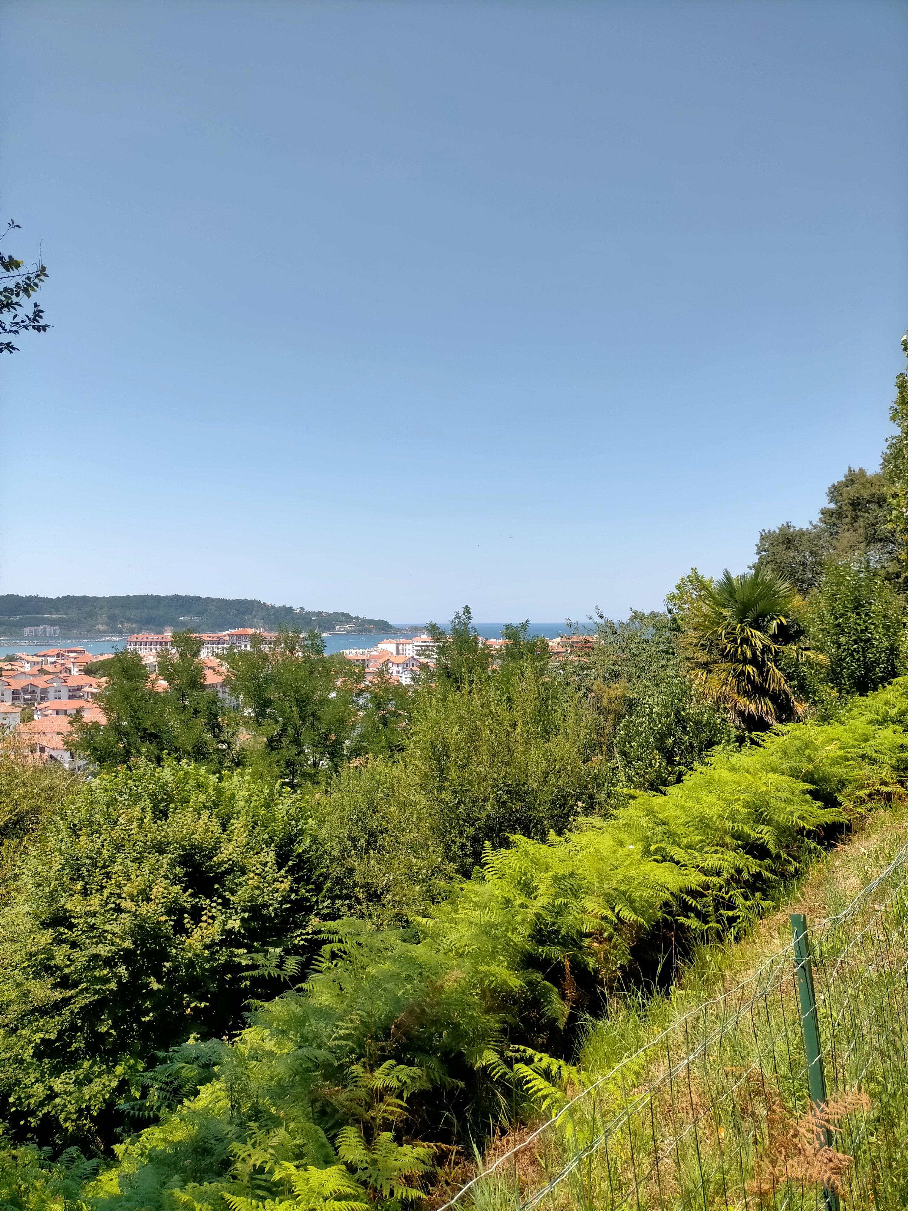 Photo n° 2 de l'avis de Heymatrott.i fait le 27/07/2022 à 16:20