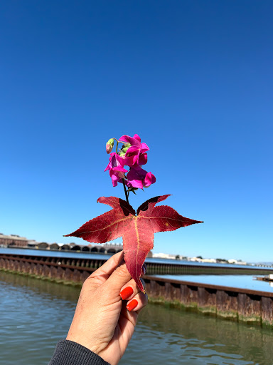 Coffee Shop «Panama Bay Coffee», reviews and photos, 289 Mare Island Way, Vallejo, CA 94590, USA