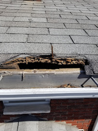 Silver Bullet Pest Control - Photo 5 - Car repair in Garfield, NJ, Newark